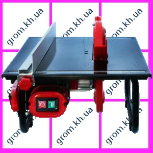 Фото 1- Циркулярная пила стационарная Протон ПДС-200