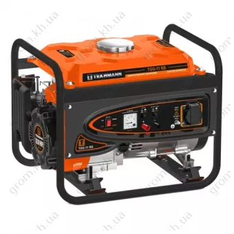 Фото 1- Генератор Tekhmann TGG-11 RS