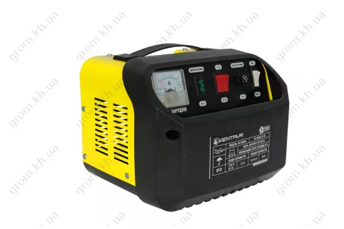 Фото 1- Зарядное устройство Кентавр ЗП-250НП