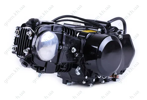 Фото 1- Двигун Дельта/Альфа/Актив (110CC) - механіка (без електростартера, з карбюратором) BLACK - TATA LUX