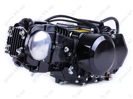 Фото 1- Двигатель Дельта/Альфа/Актив (110CC) - механика (без электростартера, с карбюратором) BLACK - TATA LUX