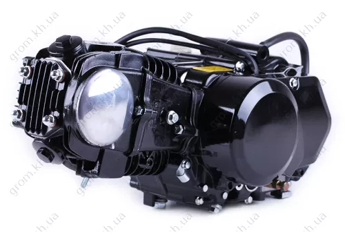 Фото 1- Двигатель Дельта/Альфа/Актив (110CC) - механика (без электростартера, с карбюратором) BLACK - TATA LUX