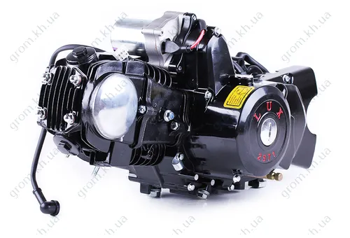 Фото 1- Двигатель Дельта/Альфа/Актив (110CC) - механика (с электростартером, карбюратором, алюминиевая ЦПГ) BLACK - TATA LUX
