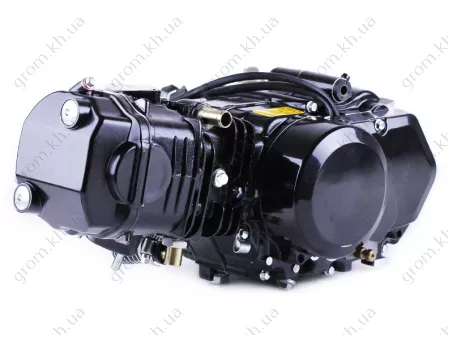 Фото 1- Двигатель Дельта/Альфа/Актив (125CC) - водяное охлаждение (с радиатором и вентилятором, без электростартера) BLACK - TATA LUX