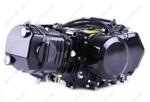 Фото 1- Двигатель Дельта/Альфа/Актив (125CC) - водяное охлаждение (с радиатором и вентилятором, без электростартера) BLACK - TATA LUX