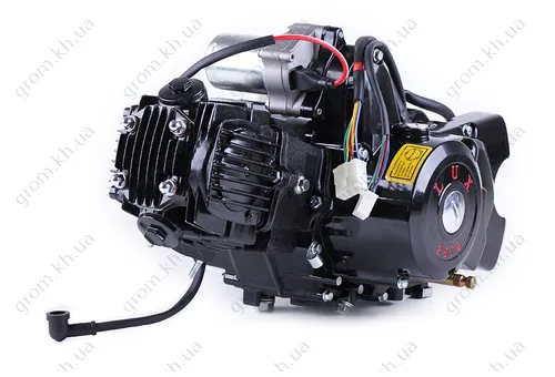 Фото 1- Двигун Дельта/Альфа/Актив (110CC) - механіка (з електростартером та карбюратором) BLACK - TATA LUX