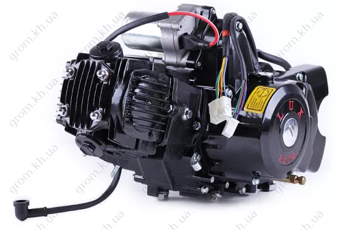 Фото 1- Двигун Дельта/Альфа/Актив (110CC) - механіка (з електростартером та карбюратором) BLACK - TATA LUX