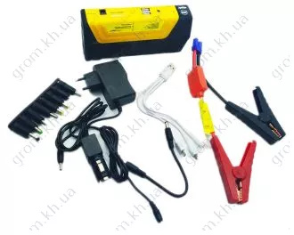 Фото 1- Зарядное устройство инверторного типа Луч-профи ИЗП-300