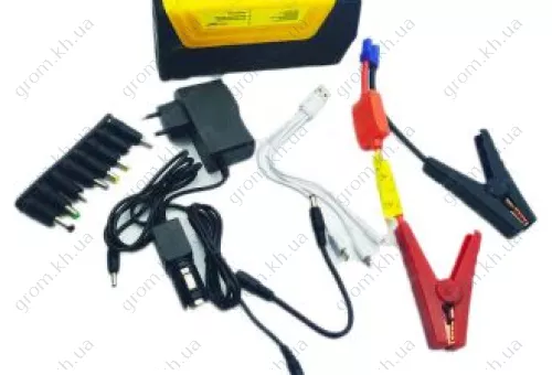 Фото 1- Зарядний пристрій інверторного типу Промінь-профі ІЗП-300