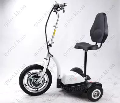 Фото 1- Електросамокат із сидінням (сидіння - спинка) (білий) T06-1 36V350W 12AH - SM