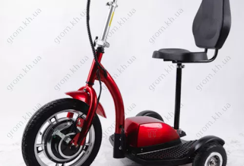 Фото 1- Електросамокат з сидінням (сидіння - спинка) (червоний) T06-1 36V350W 12AH - SM