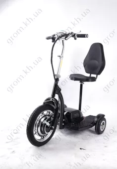 Фото 1- Электросамокат с сиденьем (сиденье - спинка) (черный) T06-1 36V350W 12AH - SM