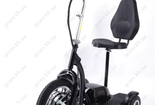 Фото 1- Электросамокат с сиденьем (сиденье - спинка) (черный) T06-1 36V350W 12AH - SM