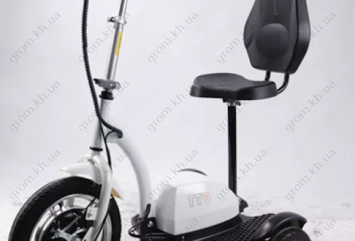 Фото 1- Електросамокат із сидінням (сидіння - спинка) (білий) T06-2 48v500W 12AH - SM