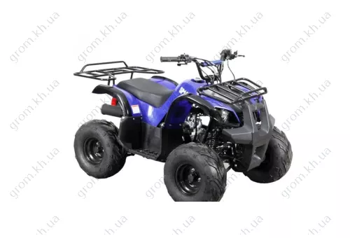 Фото 1- Квадроцикл Spark SP110-3 (цвет чёрный, синий)