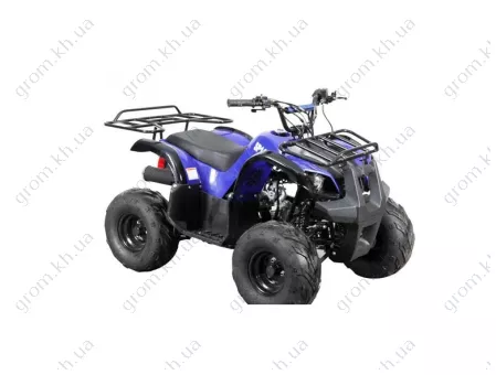 Фото 1- Квадроцикл Spark SP110-3 (колір чорний, синій) зібраний