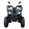 Фото 4 - Квадроцикл Spark SP250-4 (цвет чёрный, синий)