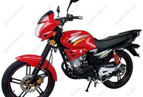 Фото 1- Мотоцикл Spark SP200R-25i