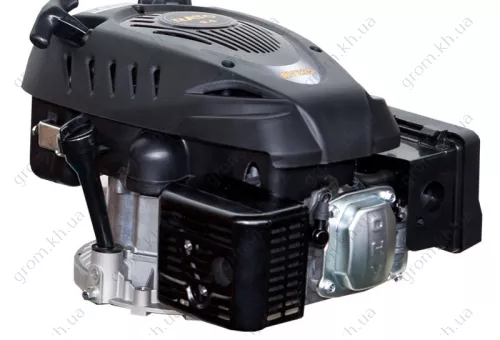 Фото 1- Бензиновый двигатель RATO RV225