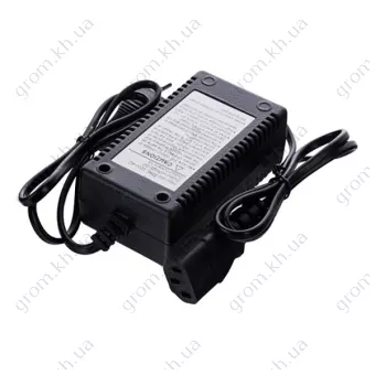 Фото 1- Зарядное устройство для Iron Angel SPR 16A