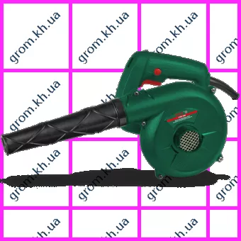 Фото 1- Електричне повітродувка DWT LS06-280