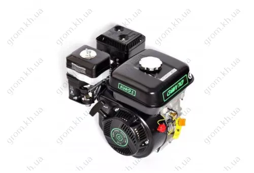 Фото 1- Двигун бензиновий GrunWelt GW170F-T/20