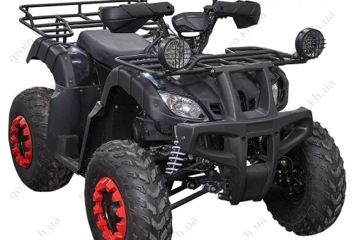 Фото 1- Квадроцикл Spark SP200-1 у зборі