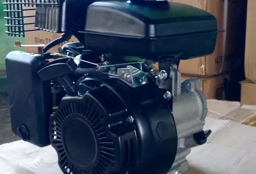 Фото 1- Двигун бензиновий Iron Angel WM156F