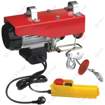 Фото 1- Підйомник електричний VORSKLA ПМЗ 250/500