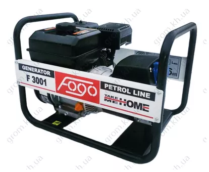 Фото 1- Генератор бензиновий Fogo F 3001