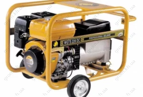 Фото 1- Бензиновий генератор WORMS ARC 220 EX