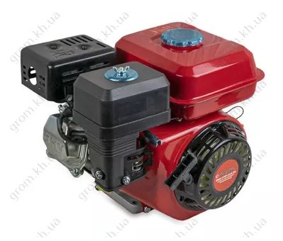 Фото 1- Бензиновий двигун VORSKLA ПМЗ 170F-215/20