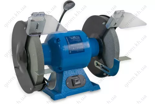 Фото 1- Точильно-шлифовальный станок KRAISSMANN 750 DS 250