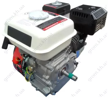 Фото 1- Двигатель бензиновый Iron Angel Favorite 389-S