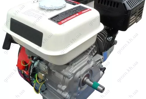 Фото 1- Двигатель бензиновый Iron Angel Favorite 389-S