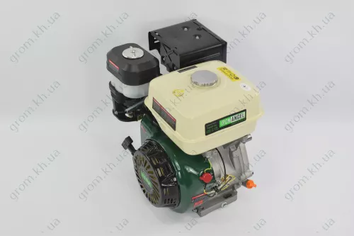 Фото 1- Двигатель бензиновый Iron Angel FAVORITE 420-S/25