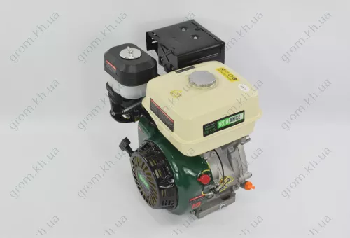 Фото 1- Двигатель бензиновый Iron Angel FAVORITE 420-S/25