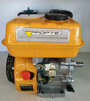 Фото 1- Двигатель Forte F210G