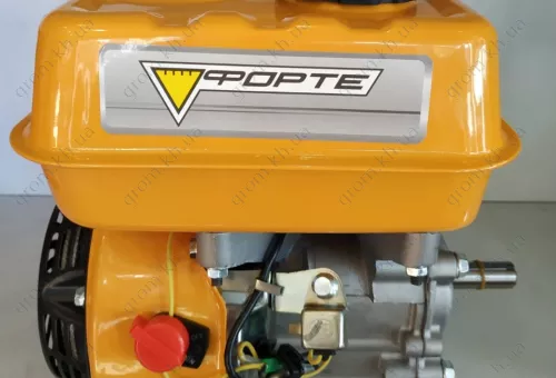 Фото 1- Двигатель Forte F210G