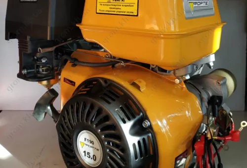 Фото 1- Двигатель Forte F190