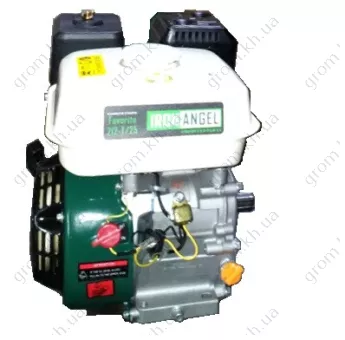 Фото 1- Двигатель бензиновый Iron Angel Favorite 212-T/25 (Фильтр сухого типа)