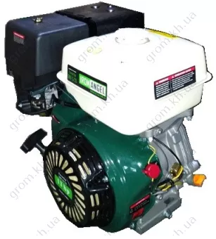 Фото 1- Двигун бензиновий Iron Angel Favorite 389-S/25 (фільтр сухого типу)