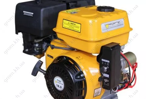 Фото 1- Двигатель бензиновый Forte F192 16 л.с.