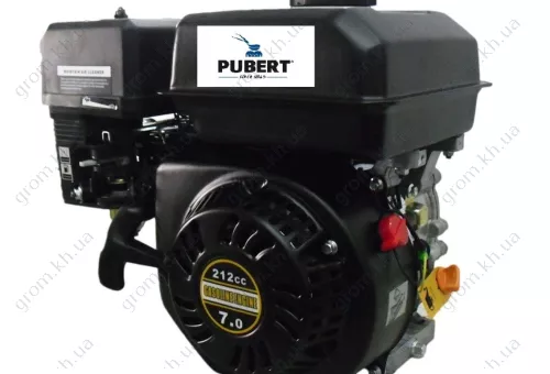 Фото 1- Двигун бензиновий Pubert R210 BHOHV