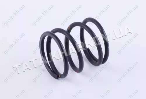 Фото 1- Пружина диференціалу - КПП/6