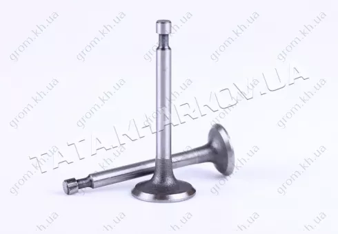 Фото 1- Клапаны (пара) - 156F