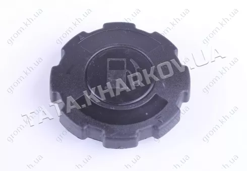 Фото 1- Крышка бака - 156F