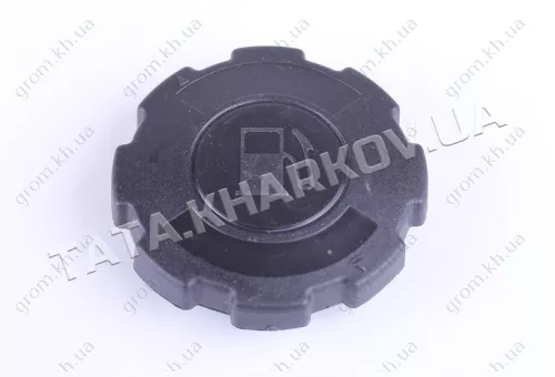 Фото 1- Крышка бака - 156F