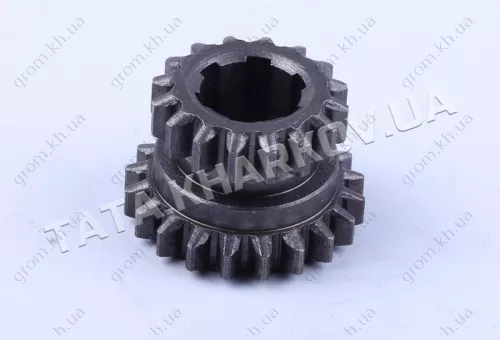 Фото 1- Шестерня головного валу здвоєна (перед./задн.передач) Z-20/16 - 168F-170F