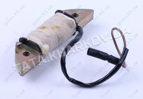 Фото 1- Котушка генератора - 168F